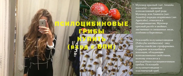 сатива Алексеевка