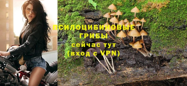 сатива Алексеевка