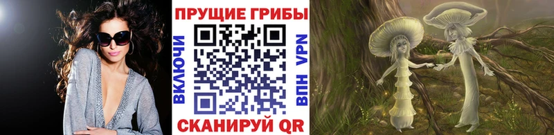 цена   hydra вход  Галлюциногенные грибы Magic Shrooms  Буй 